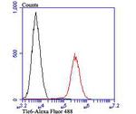 TLE6 Antibody in Flow Cytometry (Flow)