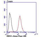 ROC1 Antibody in Flow Cytometry (Flow)