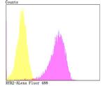 Ryanodine Receptor Antibody in Flow Cytometry (Flow)