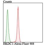 HKDC1 Antibody in Flow Cytometry (Flow)