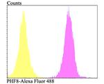 PHF8 Antibody in Flow Cytometry (Flow)