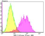 APR3 Antibody in Flow Cytometry (Flow)