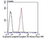 GPR30 Antibody in Flow Cytometry (Flow)