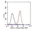 Kir5.1 (KCNJ16) Antibody in Flow Cytometry (Flow)