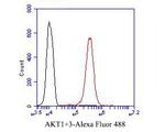 AKT3 Antibody in Flow Cytometry (Flow)