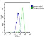 RORA Antibody in Flow Cytometry (Flow)