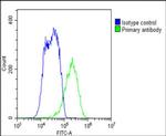 ENT1 Antibody in Flow Cytometry (Flow)