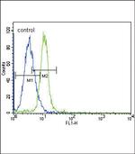 JAK2 Antibody in Flow Cytometry (Flow)