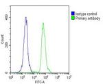 MDM2 Antibody in Flow Cytometry (Flow)