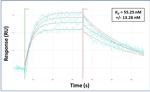 CPEB4 Antibody in Surface plasmon resonance (SPR)