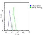 MCL-1 Antibody in Flow Cytometry (Flow)