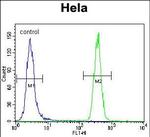 GRP78 Antibody in Flow Cytometry (Flow)