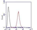 IL8 Antibody in Flow Cytometry (Flow)