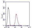 Desmoglein 3 Antibody in Flow Cytometry (Flow)