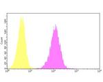 CNGA4 Antibody in Flow Cytometry (Flow)