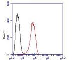 SLC8B1 Antibody in Flow Cytometry (Flow)