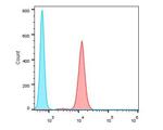 IL-17A Antibody in Flow Cytometry (Flow)