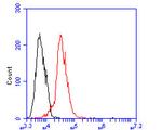 OXPAT Antibody in Flow Cytometry (Flow)