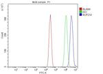 NUP214 Antibody in Flow Cytometry (Flow)