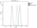 SCN11A Antibody in Flow Cytometry (Flow)