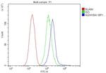 ALDH18A1 Antibody in Flow Cytometry (Flow)