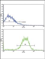 E-cadherin Antibody in Flow Cytometry (Flow)