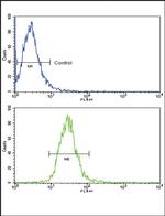 TLR6 Antibody in Flow Cytometry (Flow)