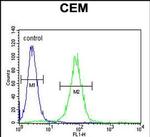 PSMAL Antibody in Flow Cytometry (Flow)