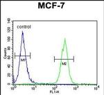 LC3B Antibody in Flow Cytometry (Flow)