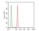 USP21 Antibody in Flow Cytometry (Flow)