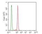 GABARAPL2 Antibody in Flow Cytometry (Flow)