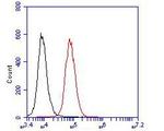 Cytokeratin 20 Antibody in Flow Cytometry (Flow)