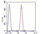 delta Catenin Antibody in Flow Cytometry (Flow)