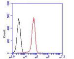 CLIC4 Antibody in Flow Cytometry (Flow)