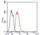 KV1.4 (KCNA4) Antibody in Flow Cytometry (Flow)