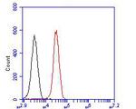 Nhe-1 Antibody in Flow Cytometry (Flow)