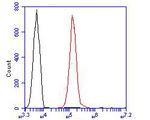 TRF2 Antibody in Flow Cytometry (Flow)