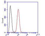 CDK5RAP3 Antibody in Flow Cytometry (Flow)