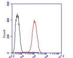 Thymidine Phosphorylase Antibody in Flow Cytometry (Flow)