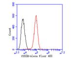 COX5B Antibody in Flow Cytometry (Flow)