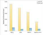 Lamin B1 Antibody in ChIP Assay (ChIP)