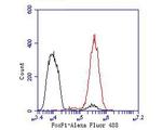 FOXP1 Antibody in Flow Cytometry (Flow)