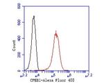 CPEB1 Antibody in Flow Cytometry (Flow)