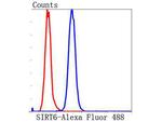 SIRT6 Antibody in Flow Cytometry (Flow)