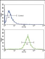 BMPR1A Antibody in Flow Cytometry (Flow)