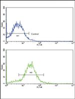 BMPR2 Antibody in Flow Cytometry (Flow)