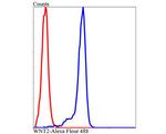 WNT2 Antibody in Flow Cytometry (Flow)