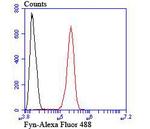 Fyn Antibody in Flow Cytometry (Flow)