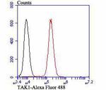 TAK1 Antibody in Flow Cytometry (Flow)