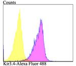 Kir3.4 (KCNJ5) Antibody in Flow Cytometry (Flow)